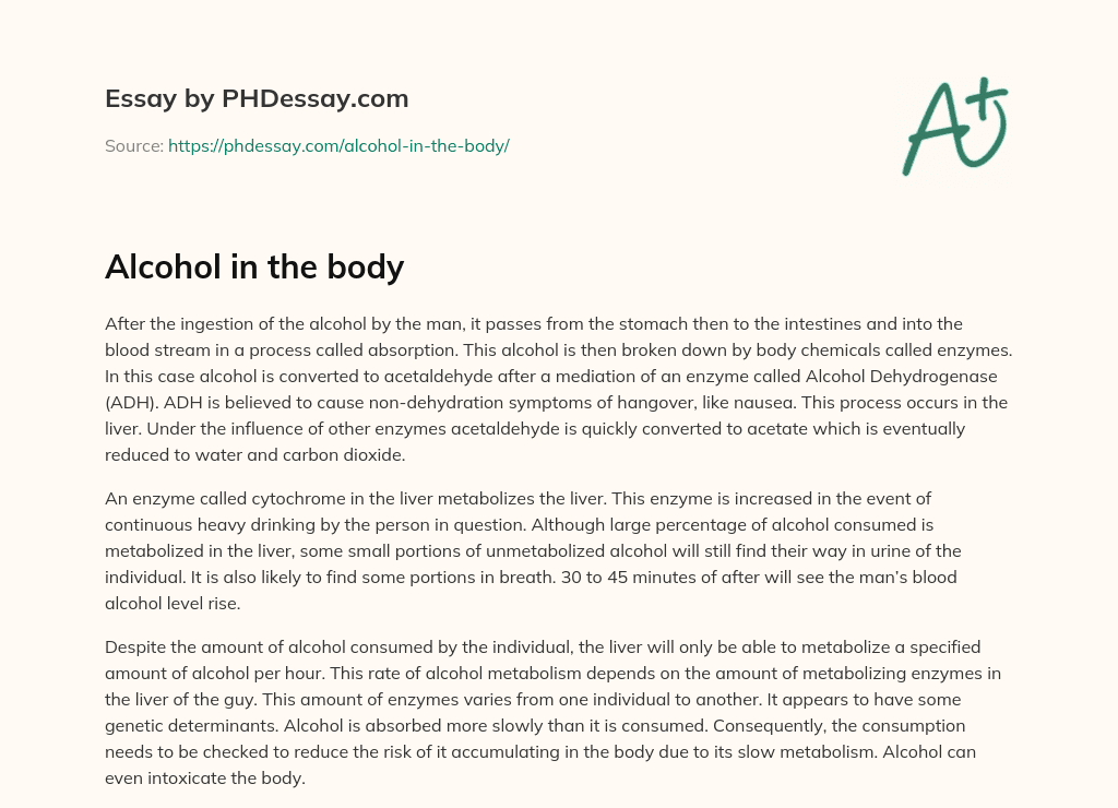 effects of alcohol on the body essay