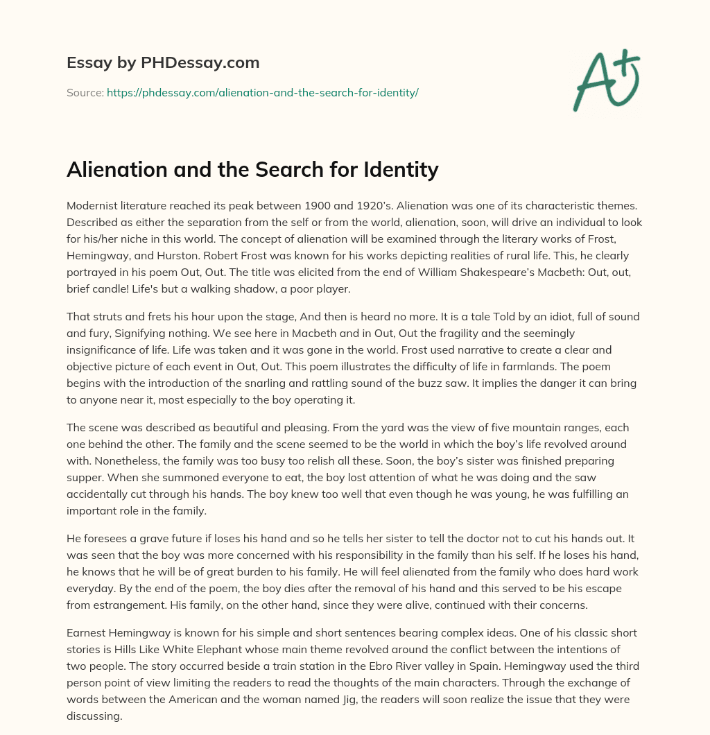 Alienation and the Search for Identity essay