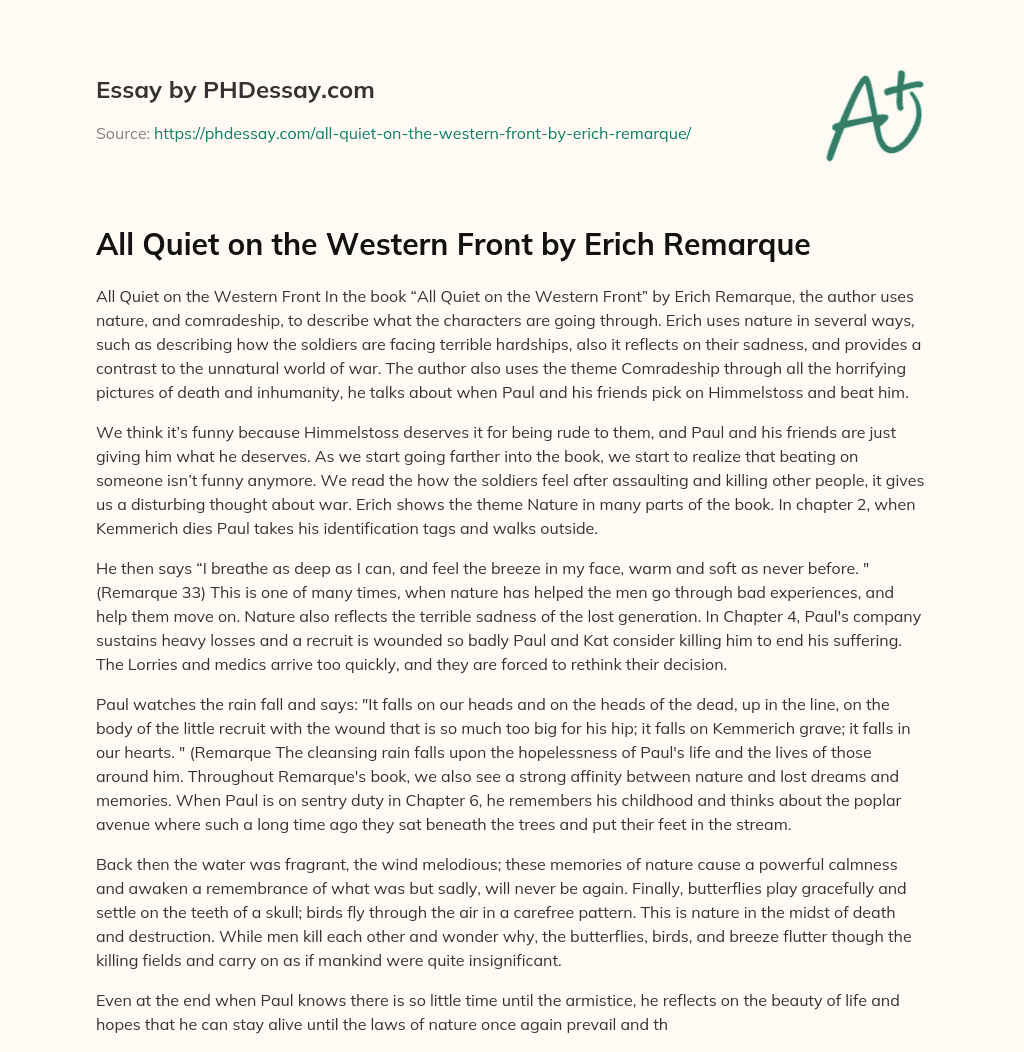All Quiet on the Western Front by Erich Remarque essay
