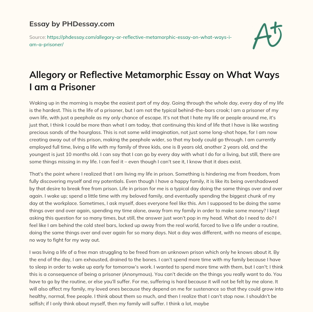 Allegory or Reflective Metamorphic Essay on What Ways I am a Prisoner essay