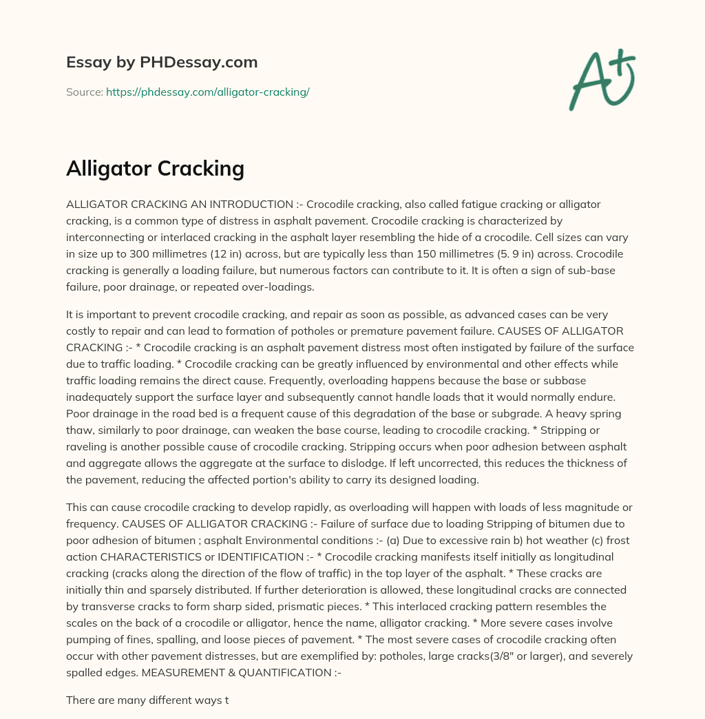 Alligator Cracking essay