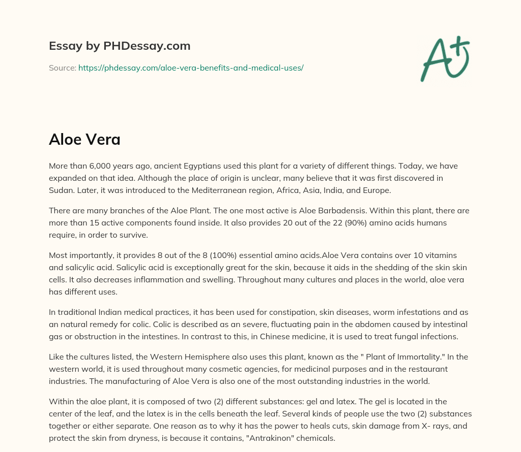 The Benefits and Uses of Aloe Vera Plant essay