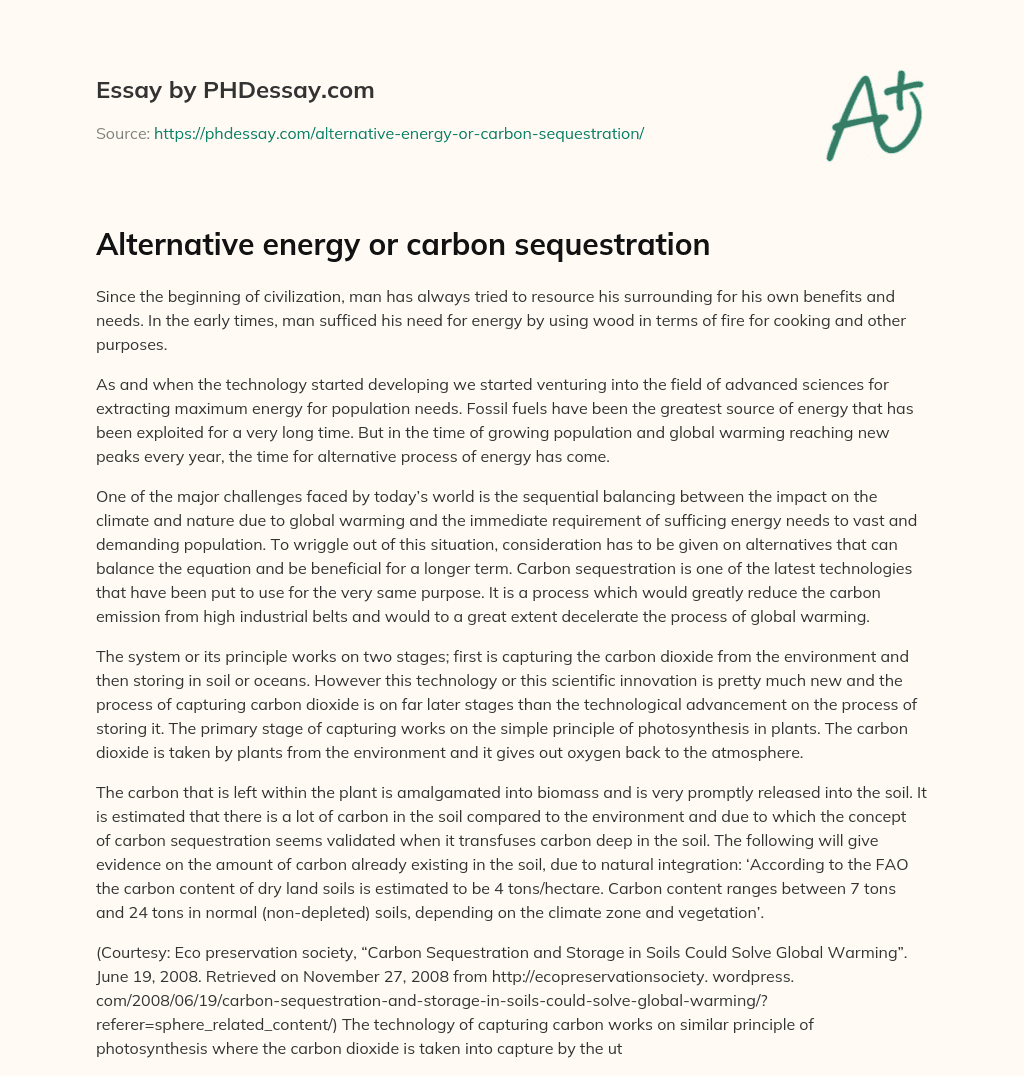 Alternative energy or carbon sequestration essay