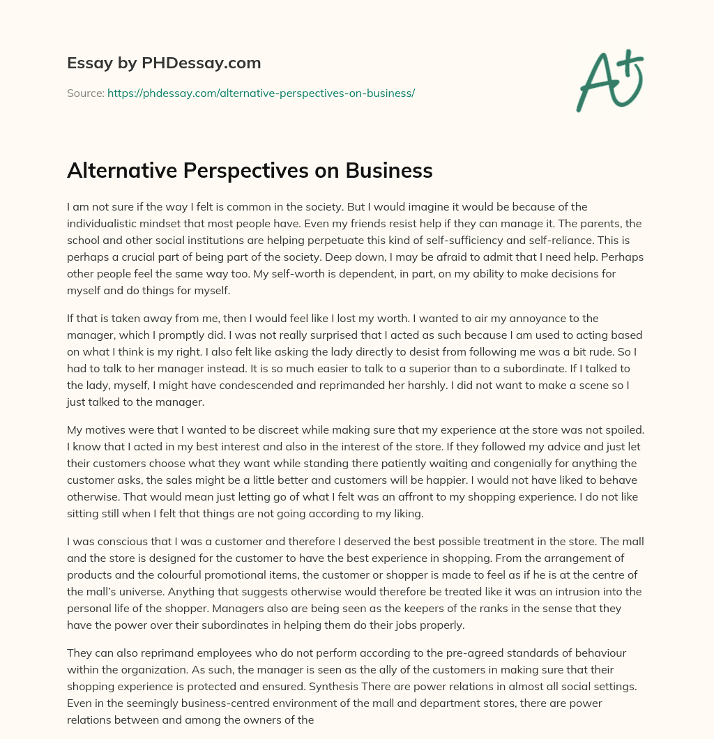 Alternative Perspectives on Business essay