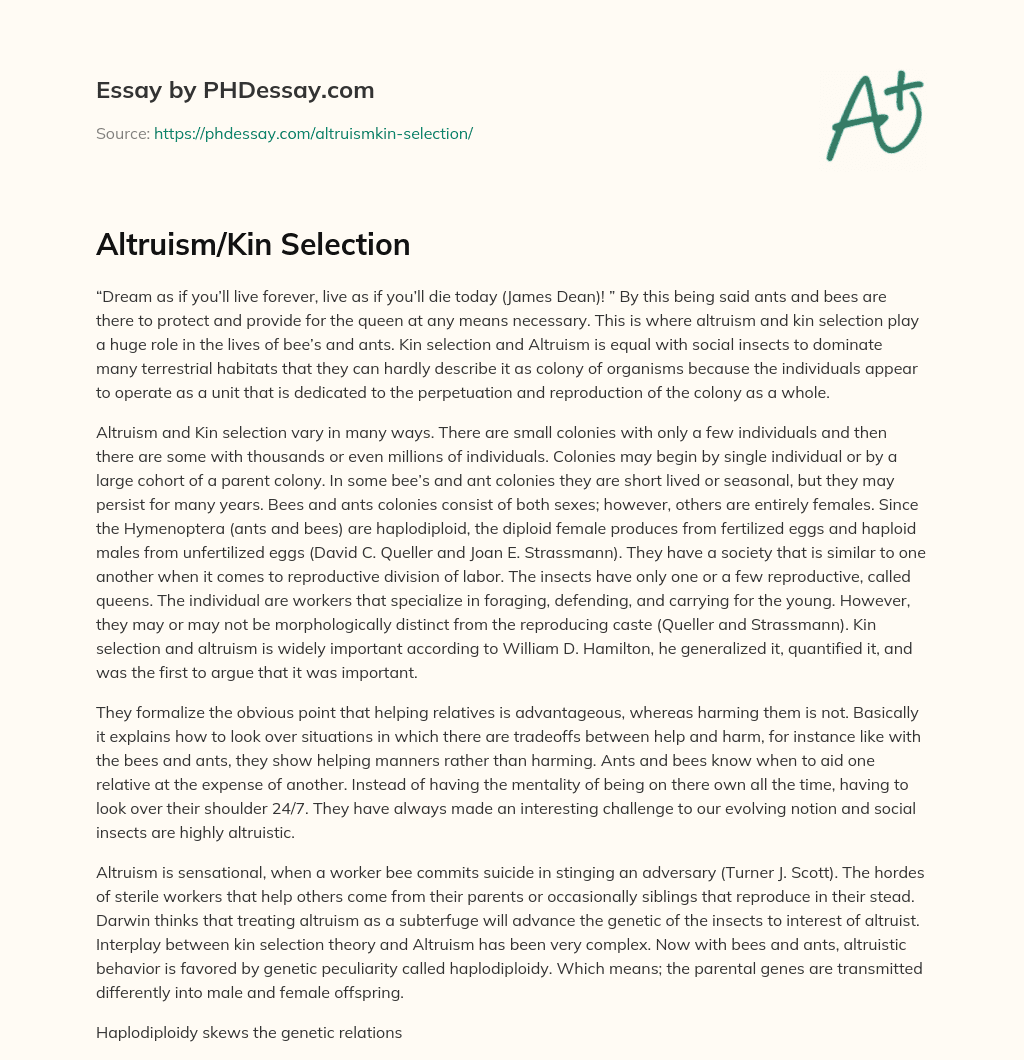 Altruism/Kin Selection essay