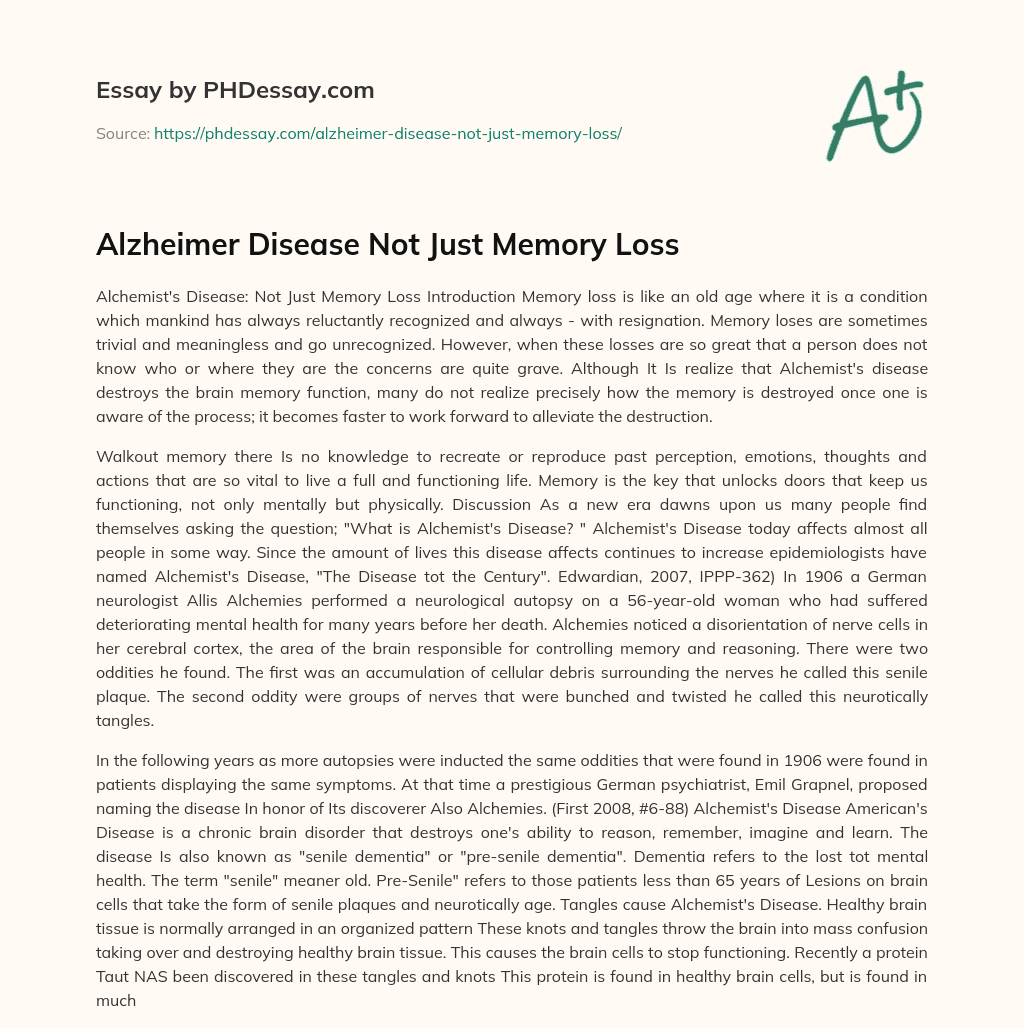 essay on memory loss