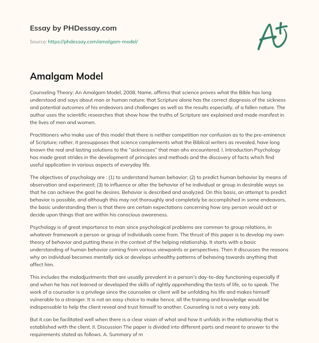Amalgam Model essay