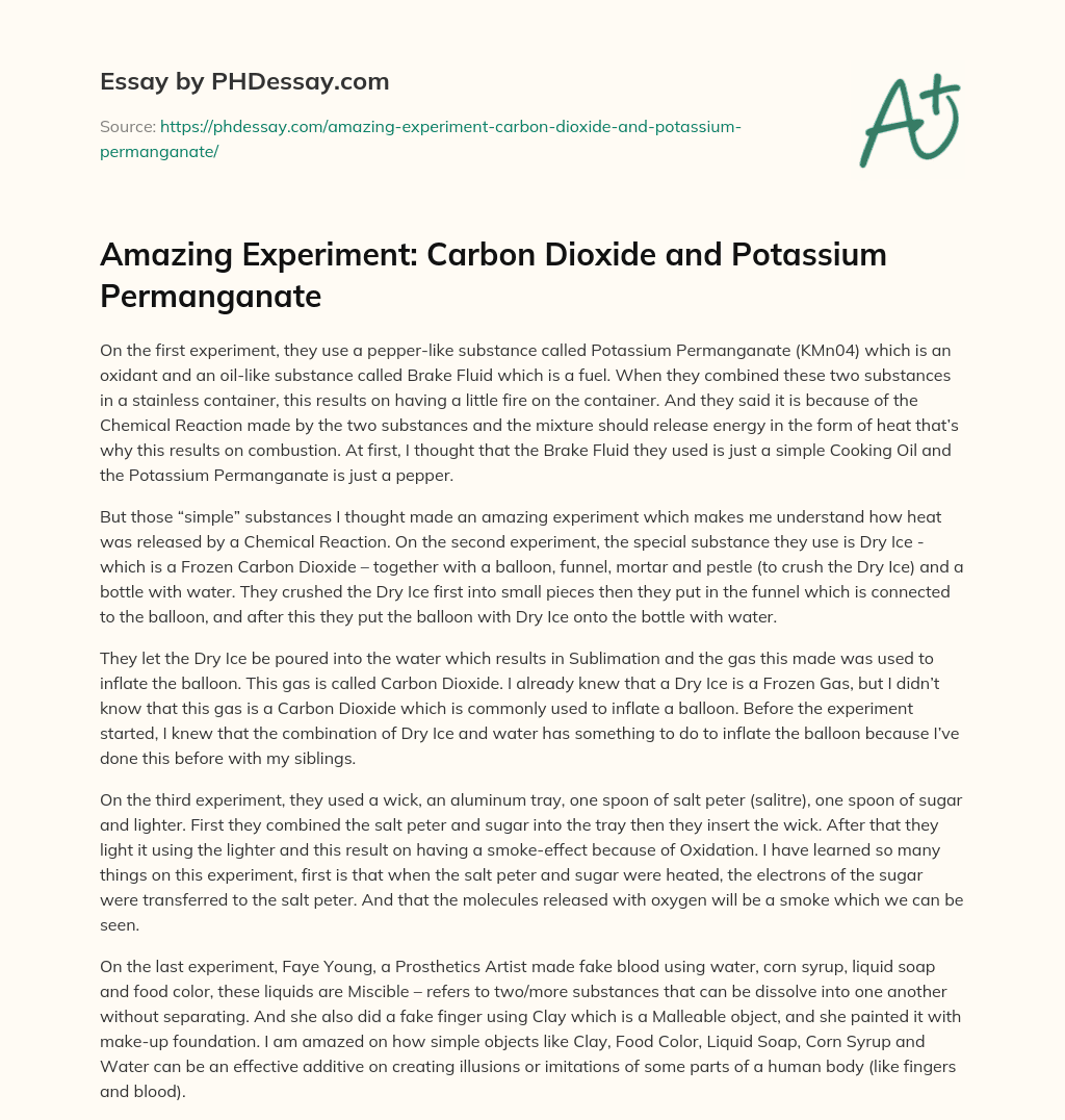 Amazing Experiment: Carbon Dioxide and Potassium Permanganate essay