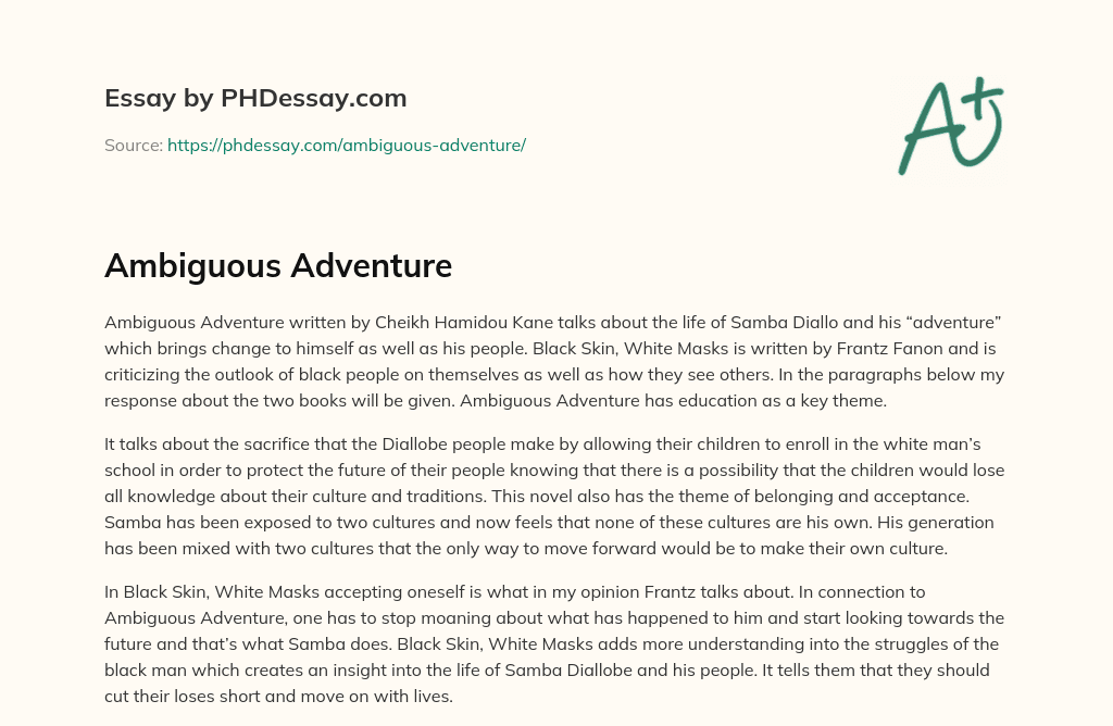 Ambiguous Adventure essay