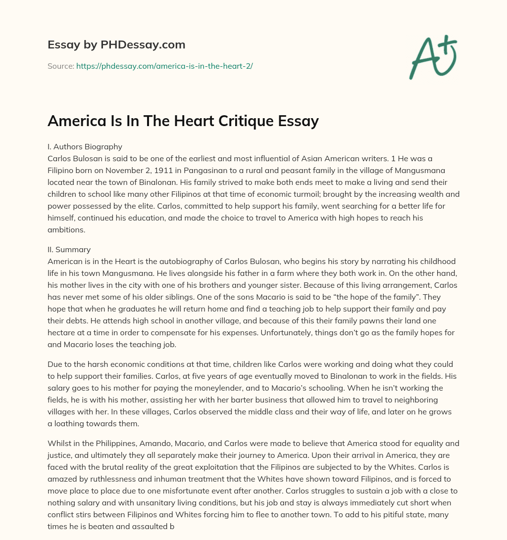 America Is In The Heart Critique Essay essay