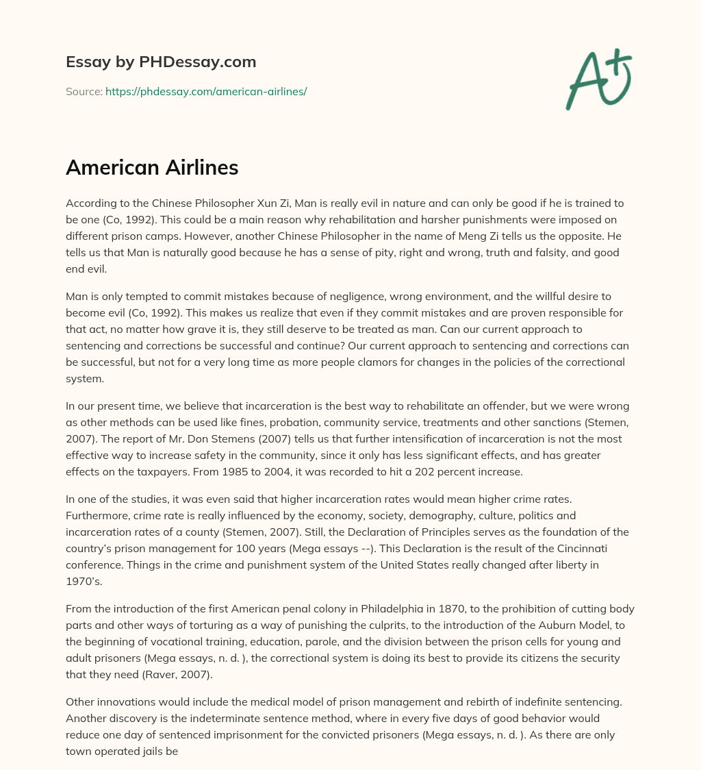American Airlines essay