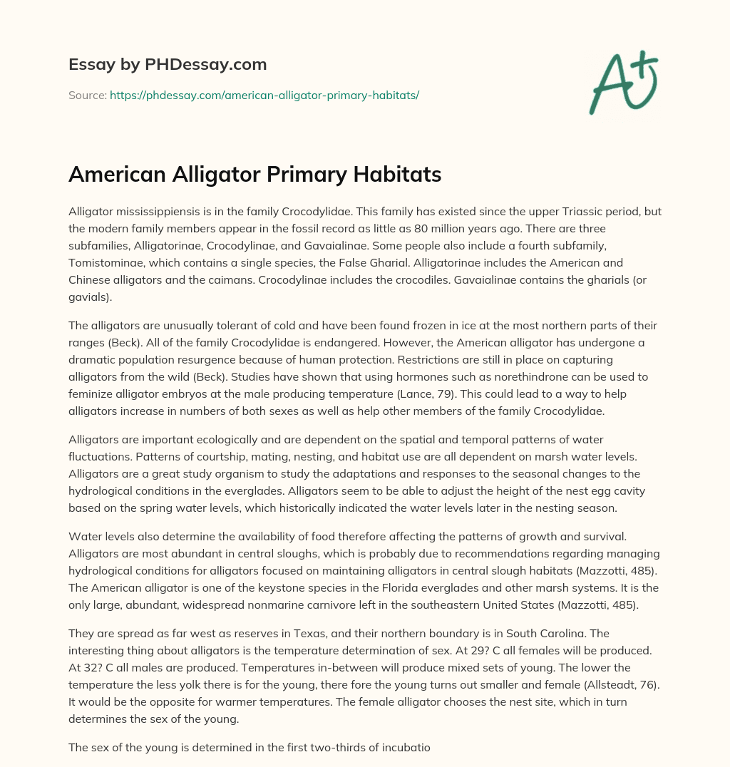 American Alligator Primary Habitats essay
