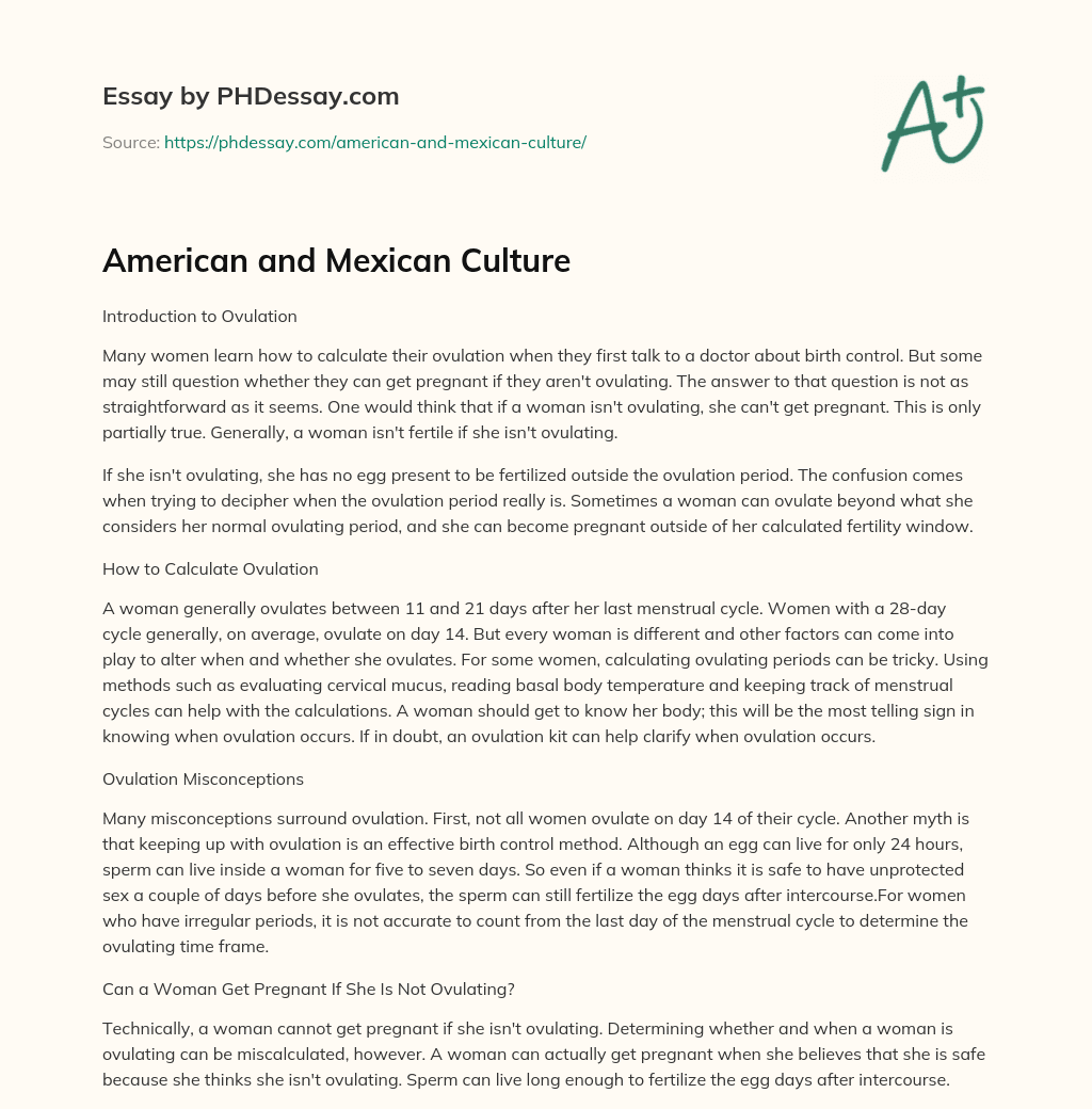 mexican culture essay introduction