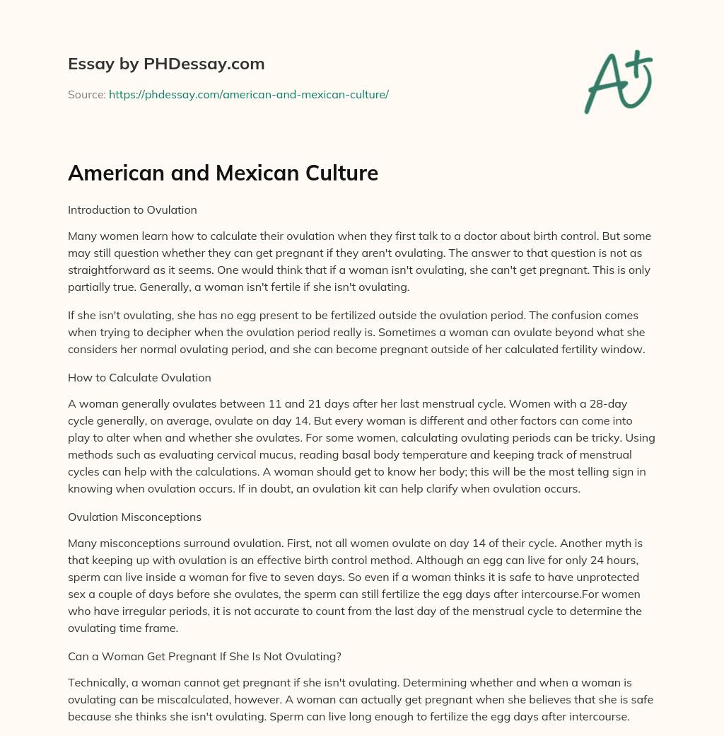 mexican culture essay examples