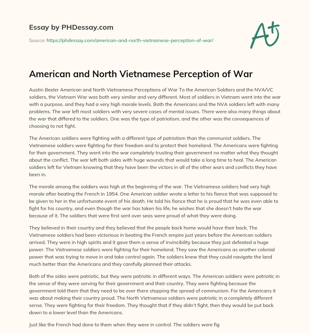 American and North Vietnamese Perception of War essay