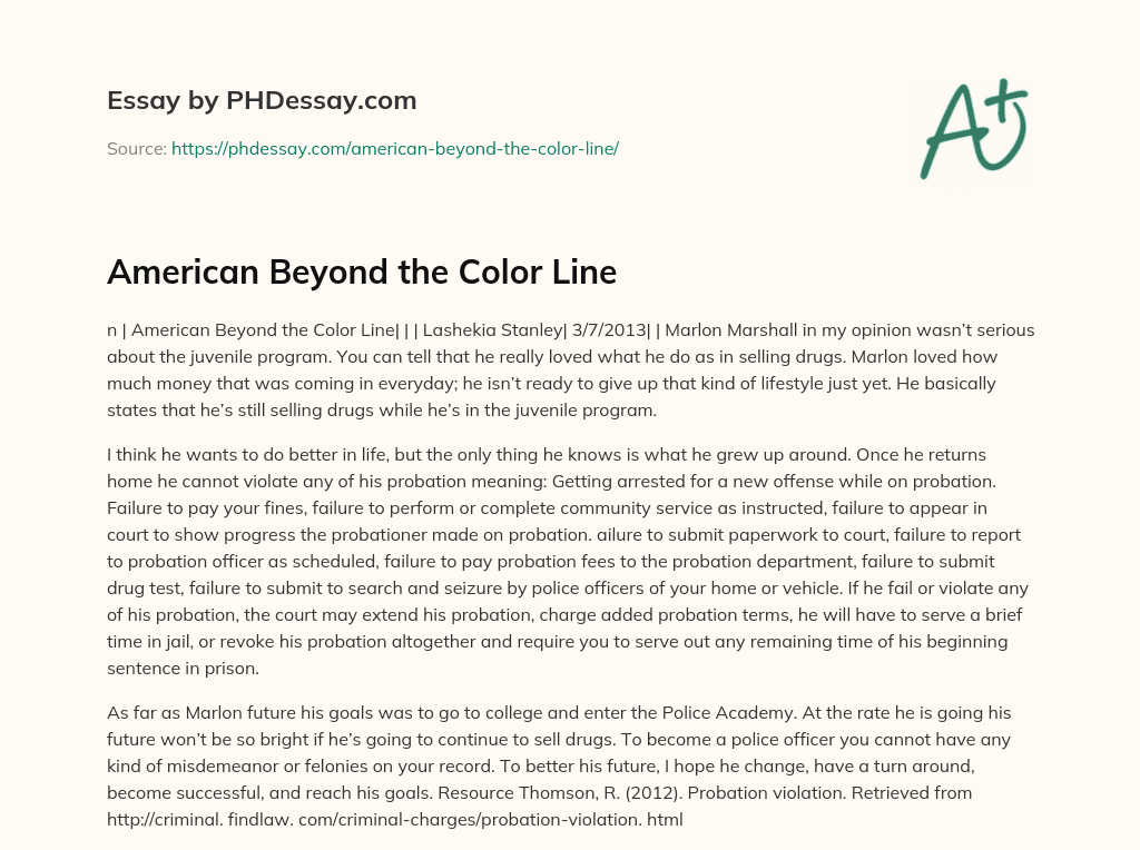 American Beyond the Color Line essay
