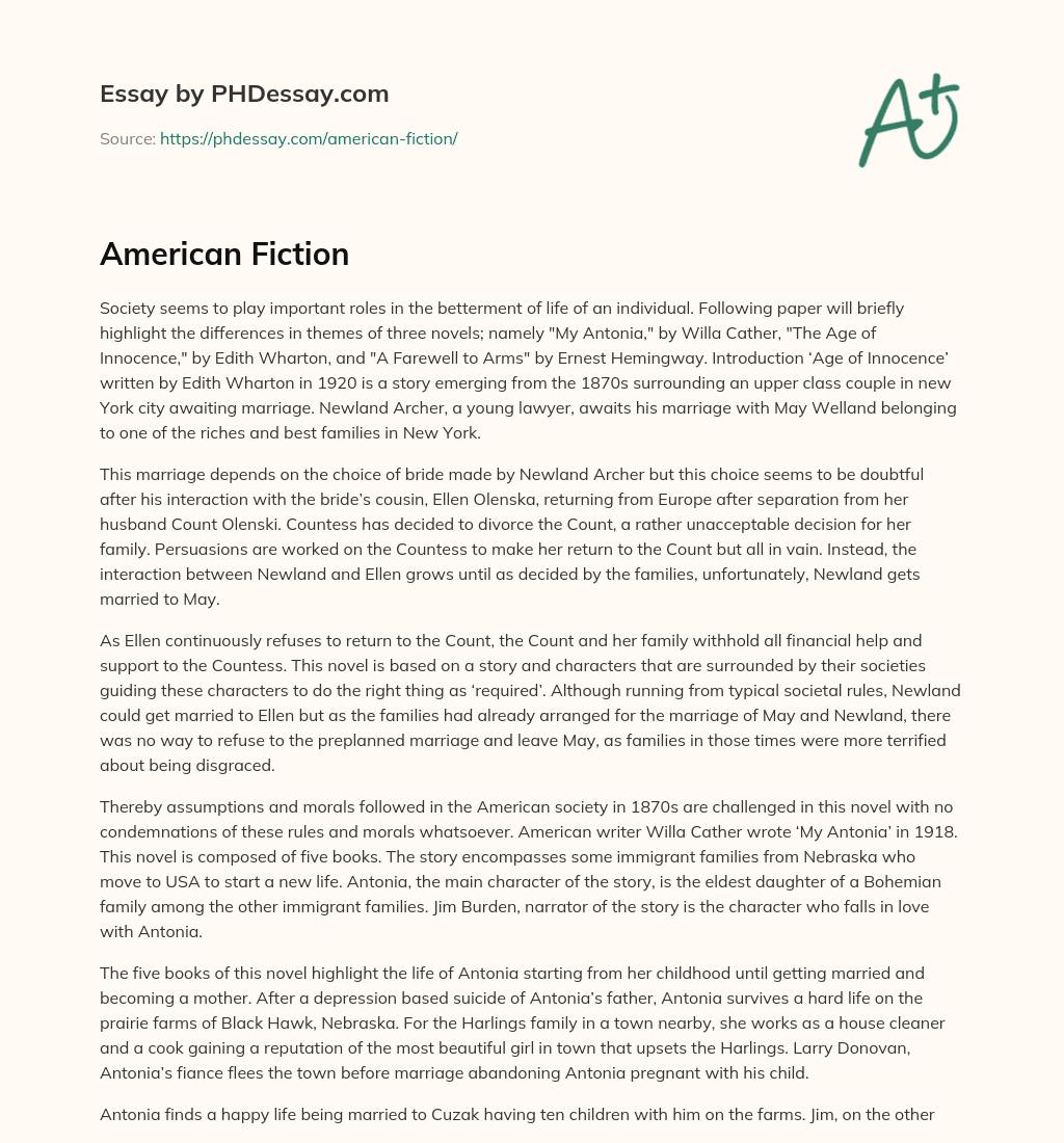 American Fiction essay