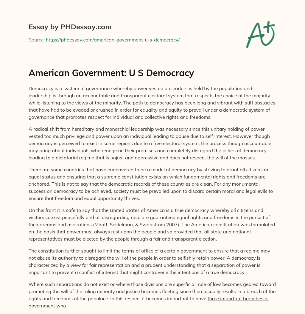 American Government: U S Democracy essay