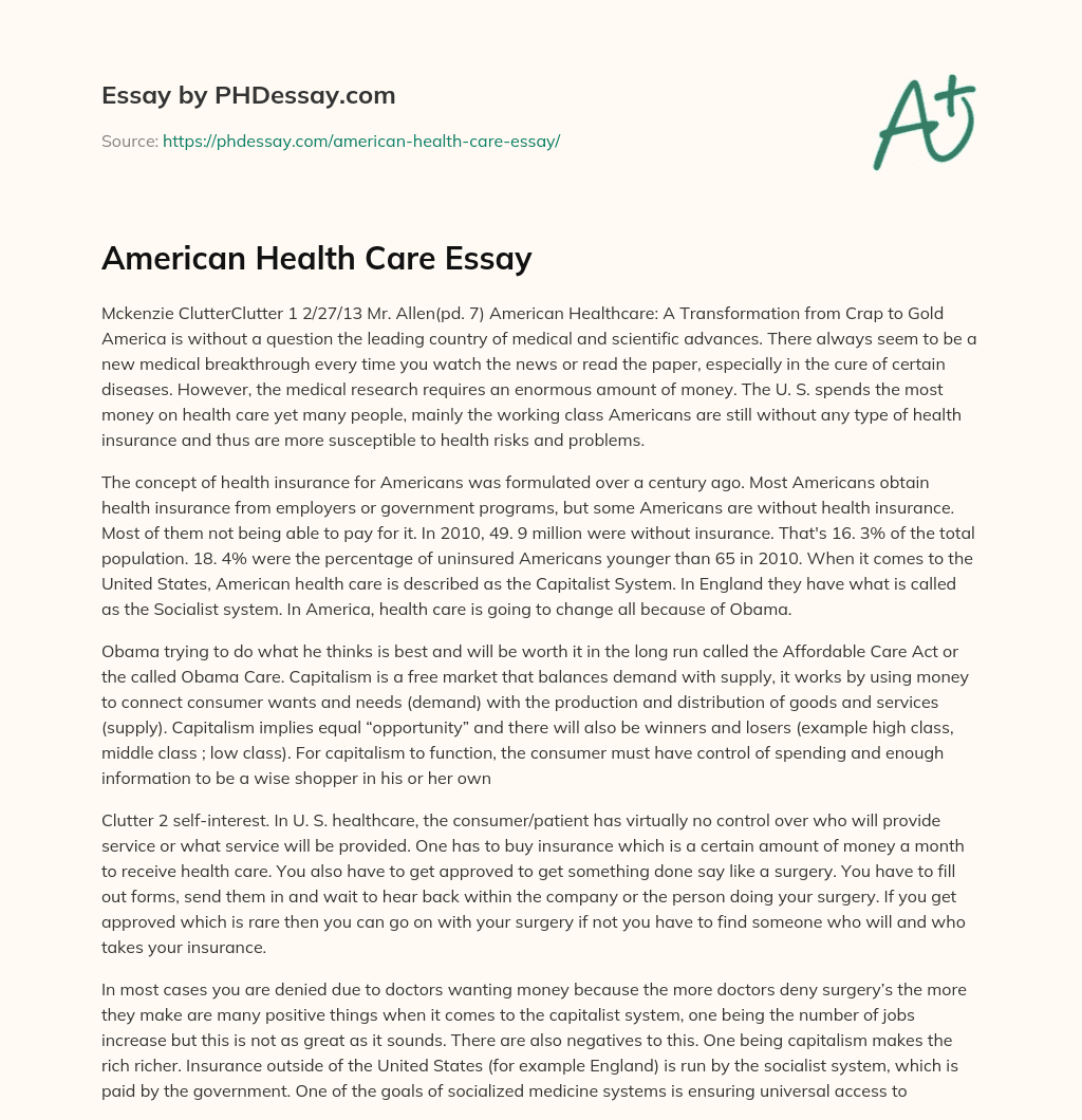 American Health Care Essay essay