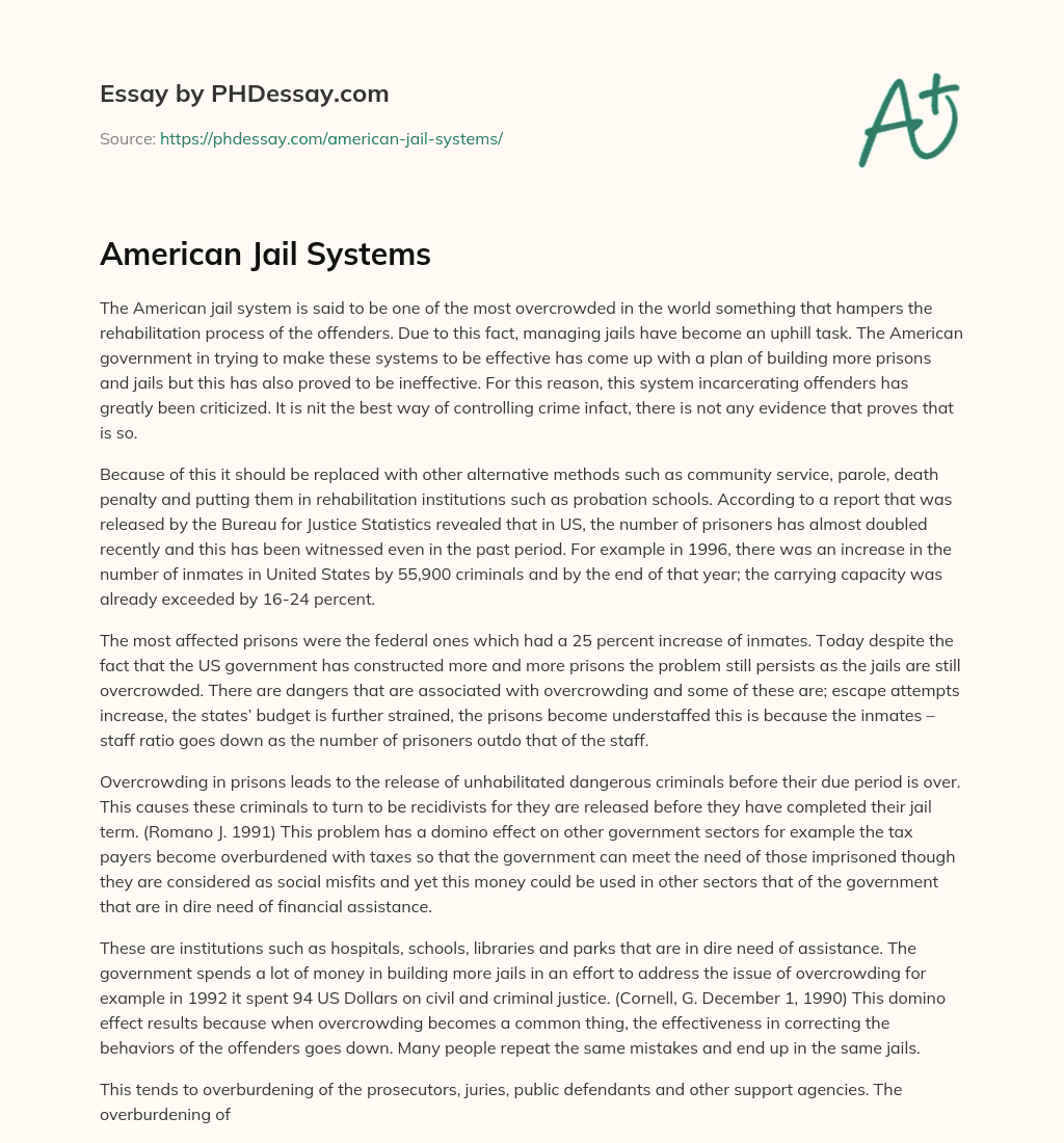 American Jail Systems essay