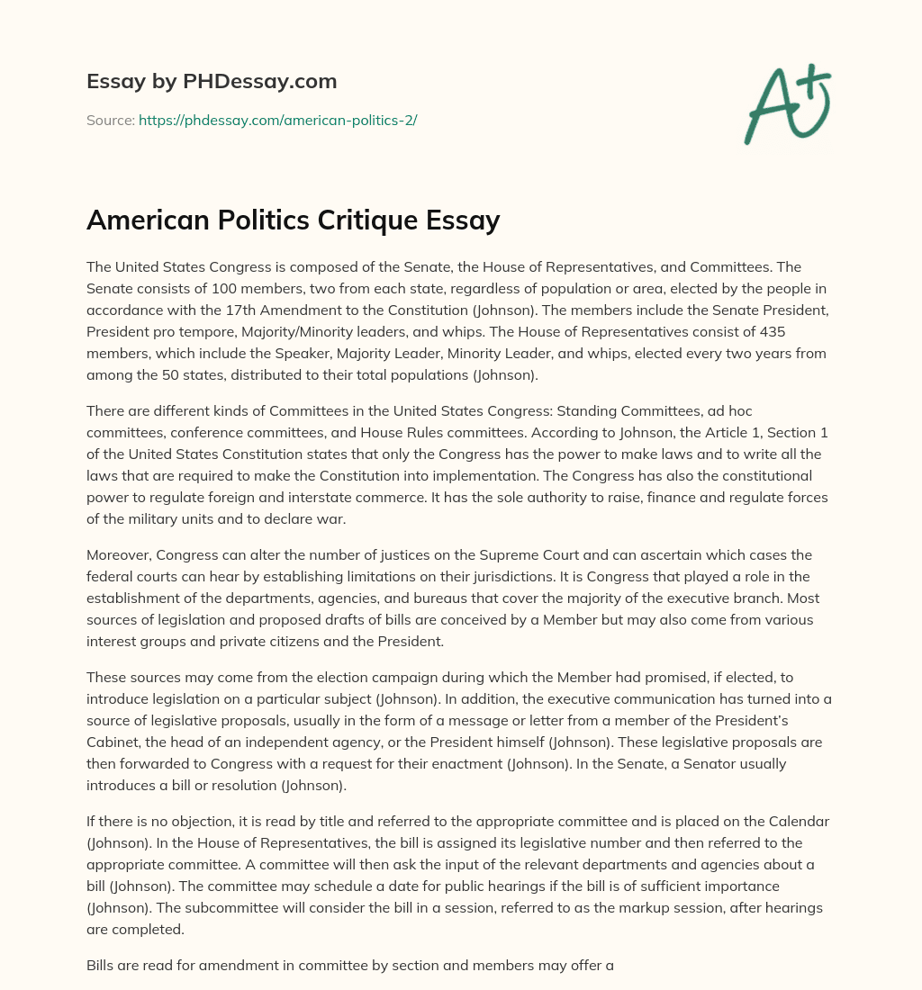 American Politics Critique Essay essay