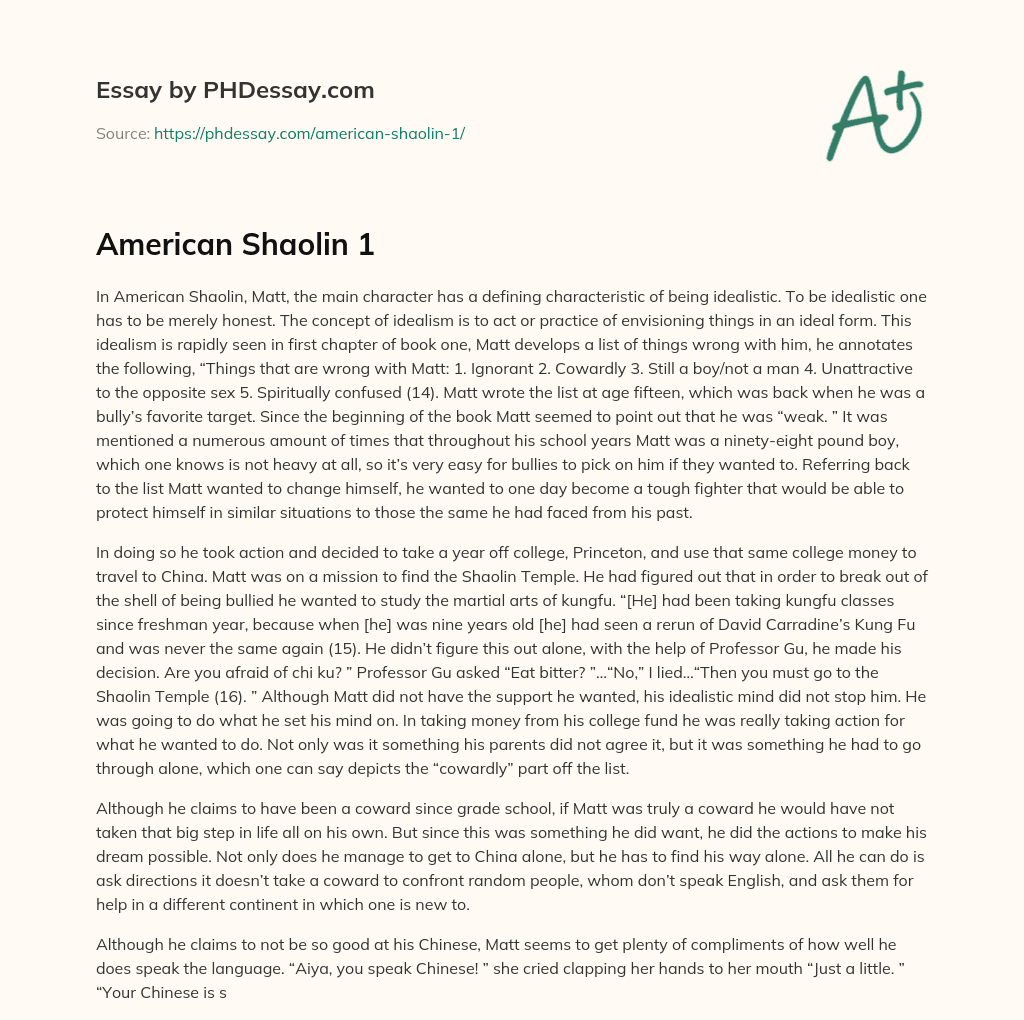 The Idealistic Journey of Matt in American Shaolin essay