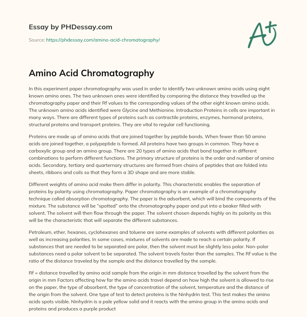Amino Acid Chromatography essay