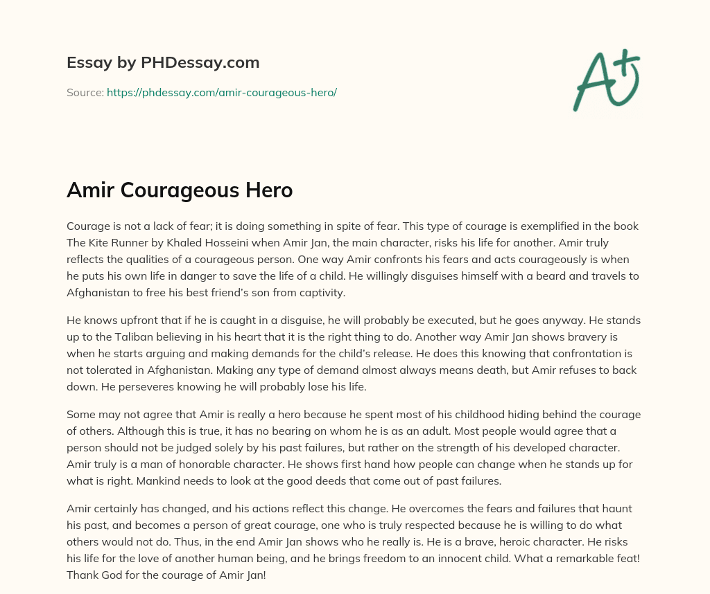 Amir Courageous Hero essay