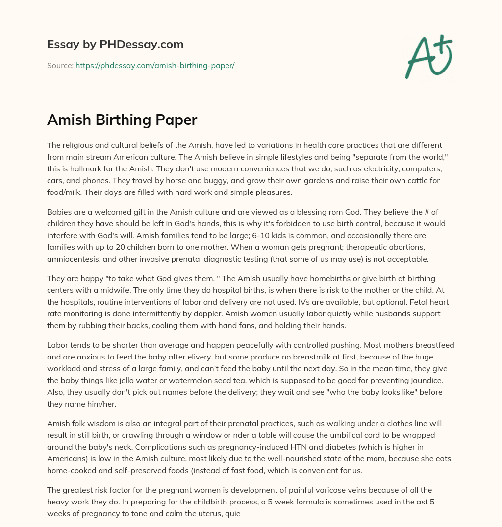 Amish Birthing Paper essay