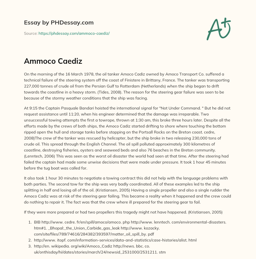 Ammoco Caediz essay