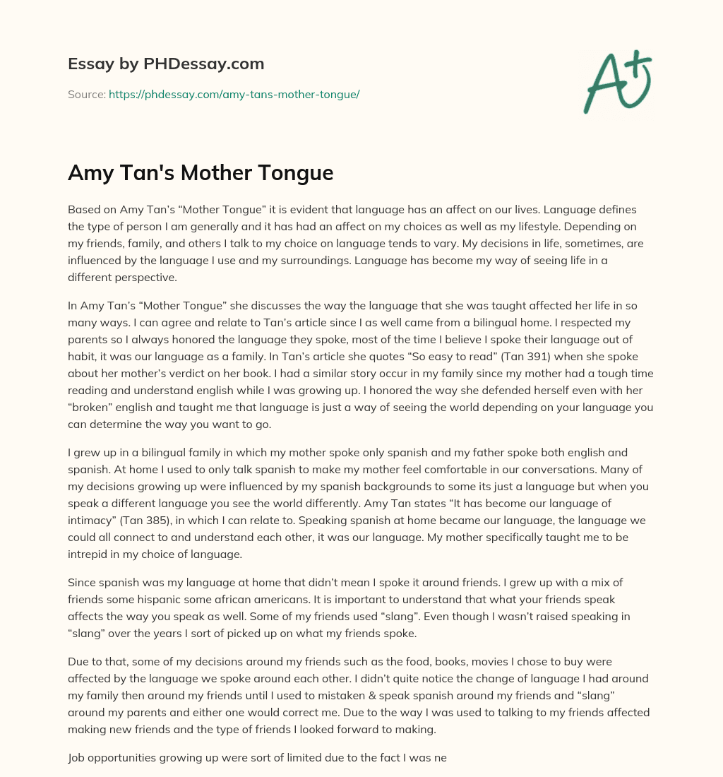 Amy Tan’s Mother Tongue essay