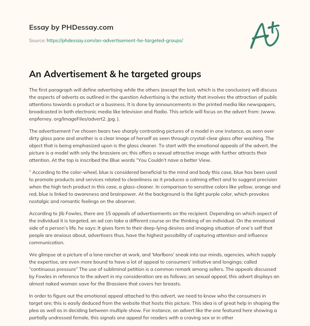 An Advertisement  & he targeted groups essay