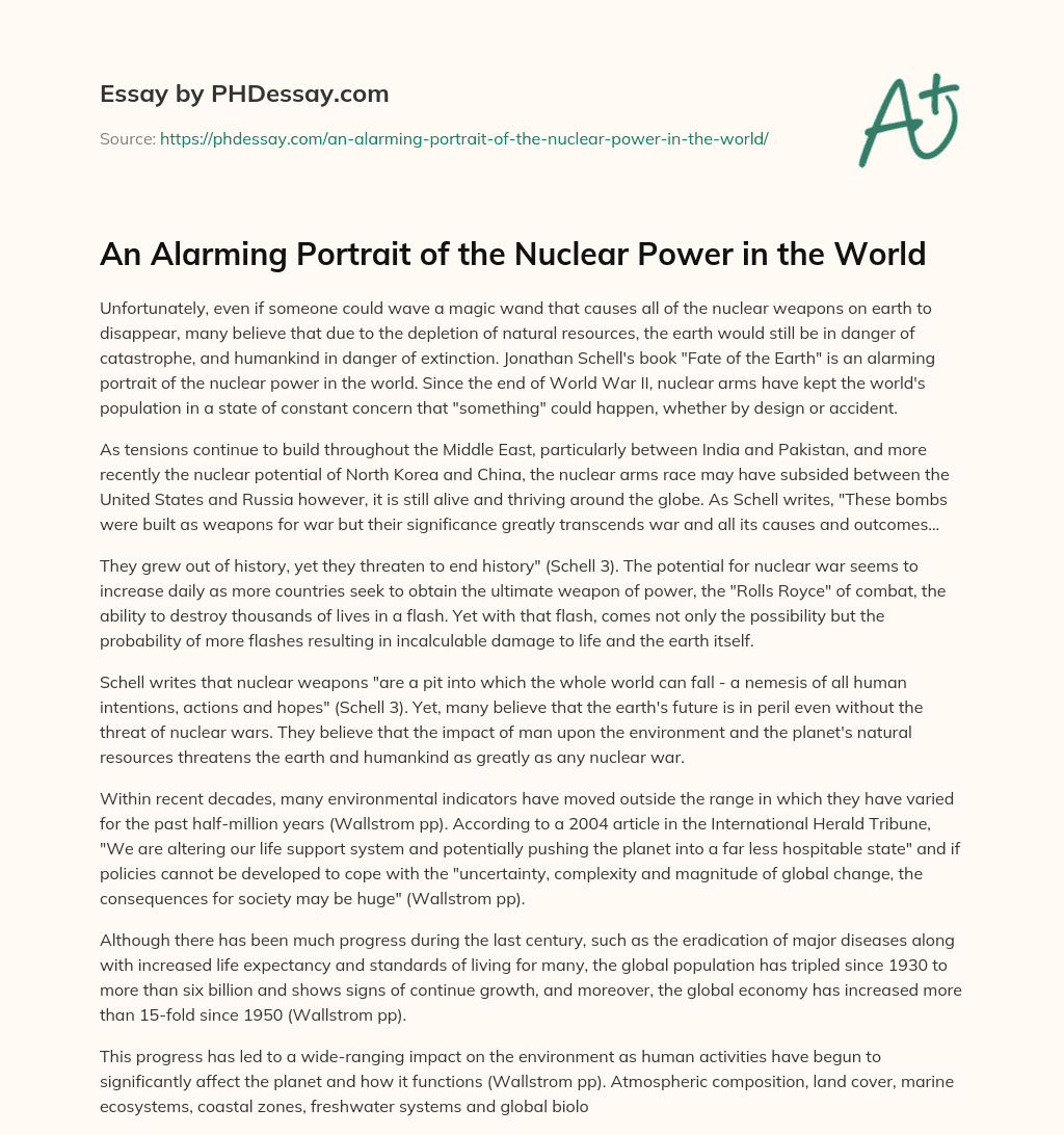 An Alarming Portrait of the Nuclear Power in the World essay