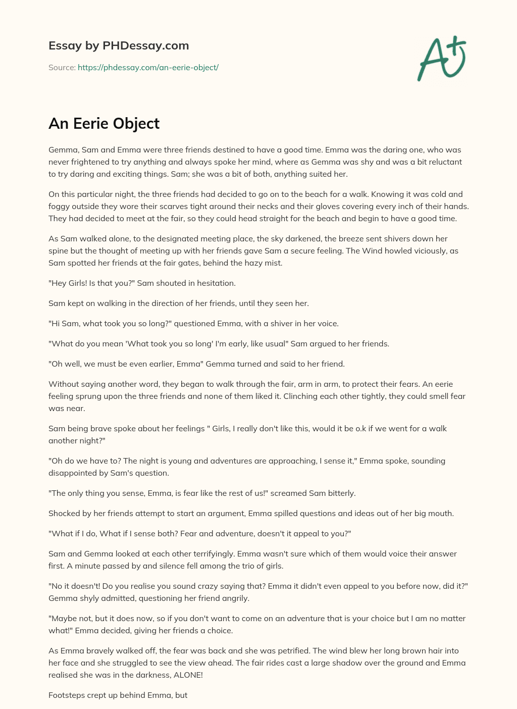 Three Friends Brave the Cold and Fog for a Beach Adventure essay