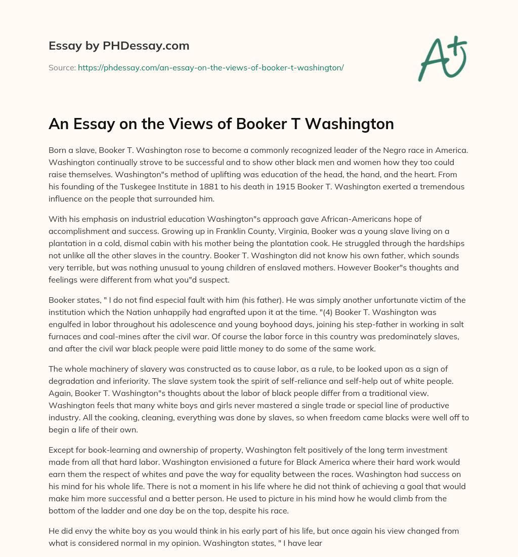 An Essay on the Views of Booker T Washington essay