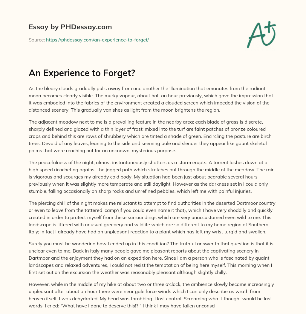 An Experience to Forget? essay