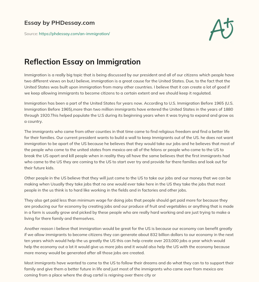Reflection Essay on Immigration essay