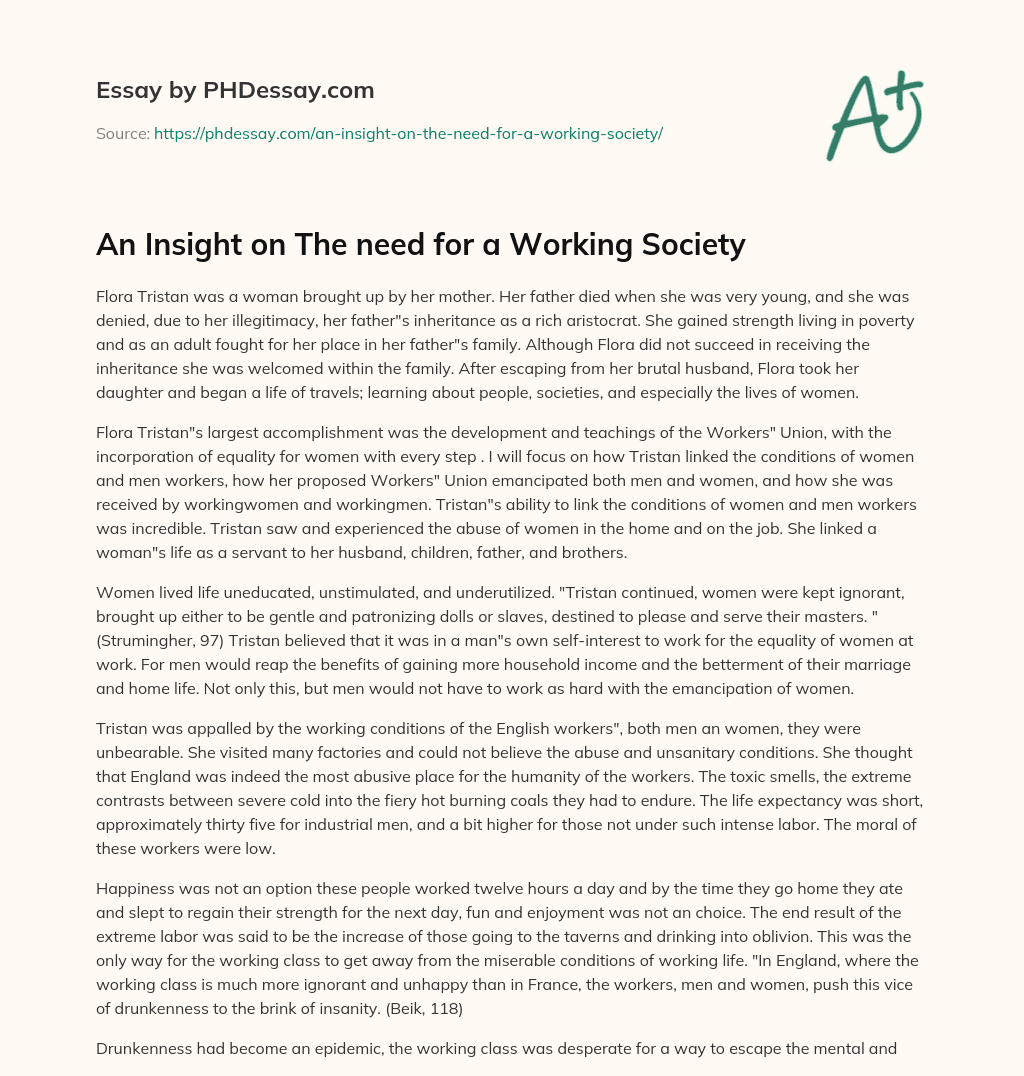 An Insight on The need for a Working Society essay