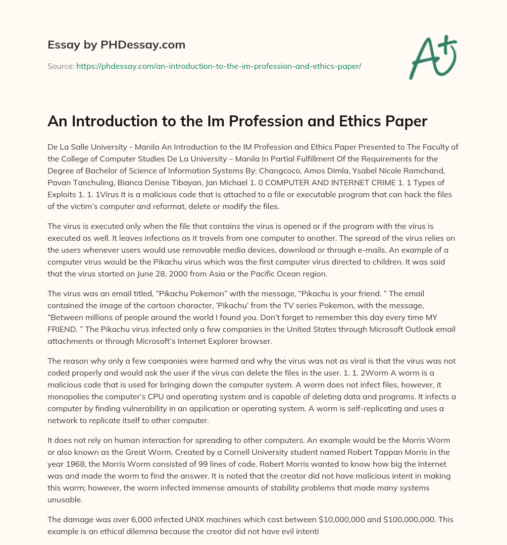 An Introduction to the Im Profession and Ethics Paper essay