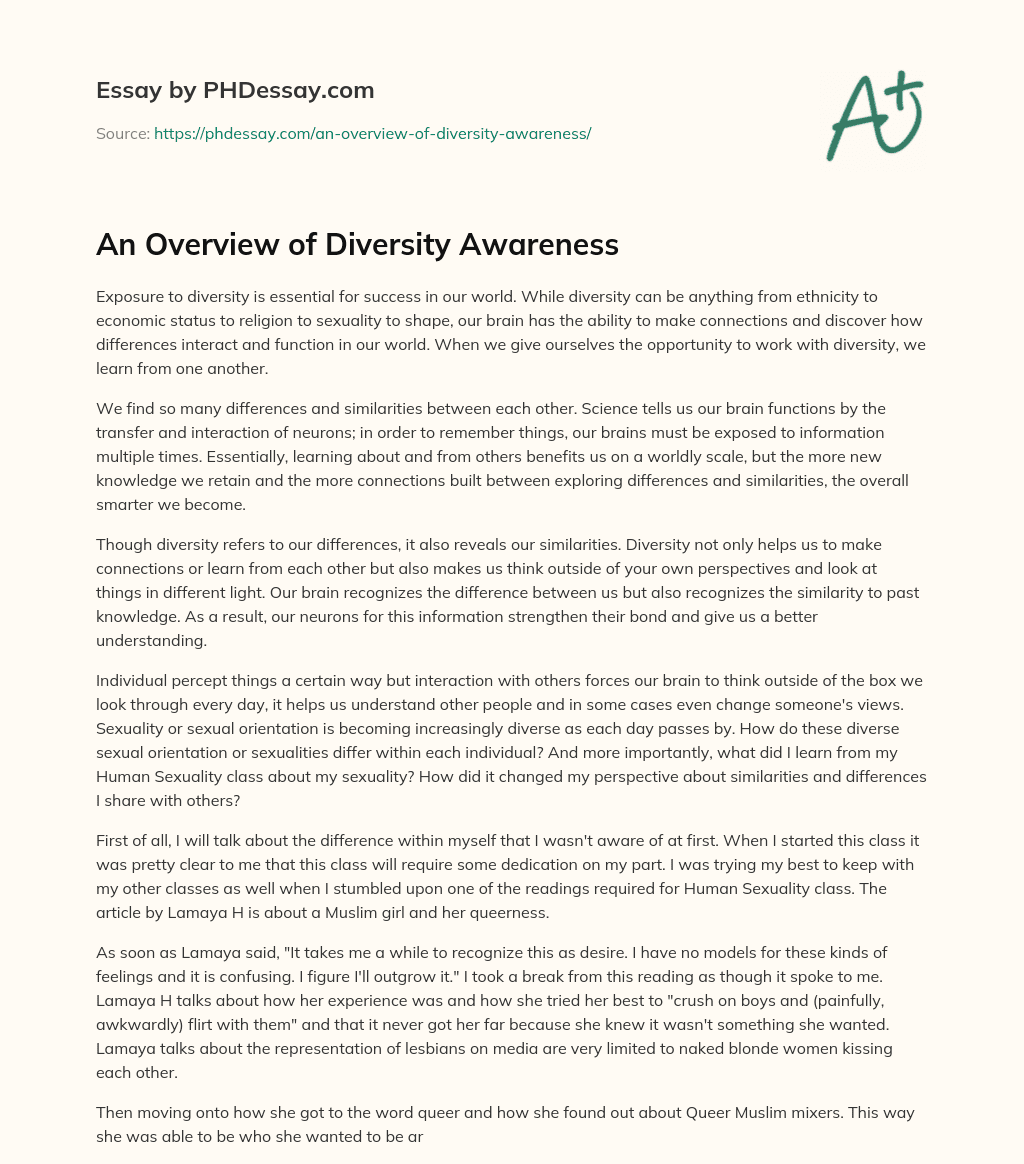 An Overview of Diversity Awareness essay