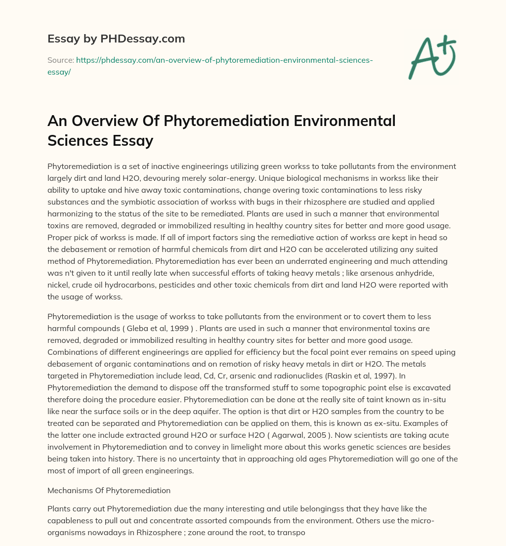An Overview Of Phytoremediation Environmental Sciences Essay essay