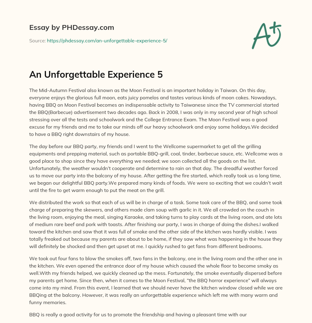 my most unforgettable experience essay