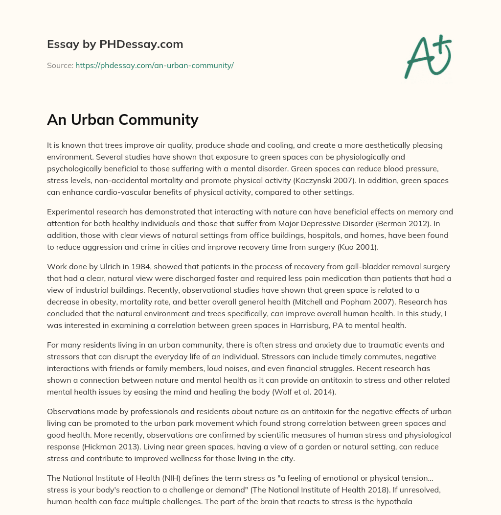 essay urban community