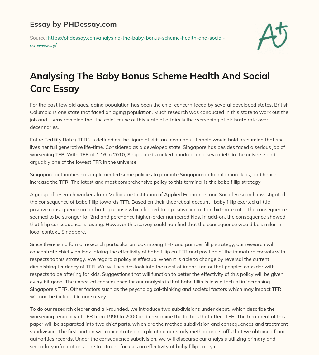 Analysing The Baby Bonus Scheme Health And Social Care Essay essay