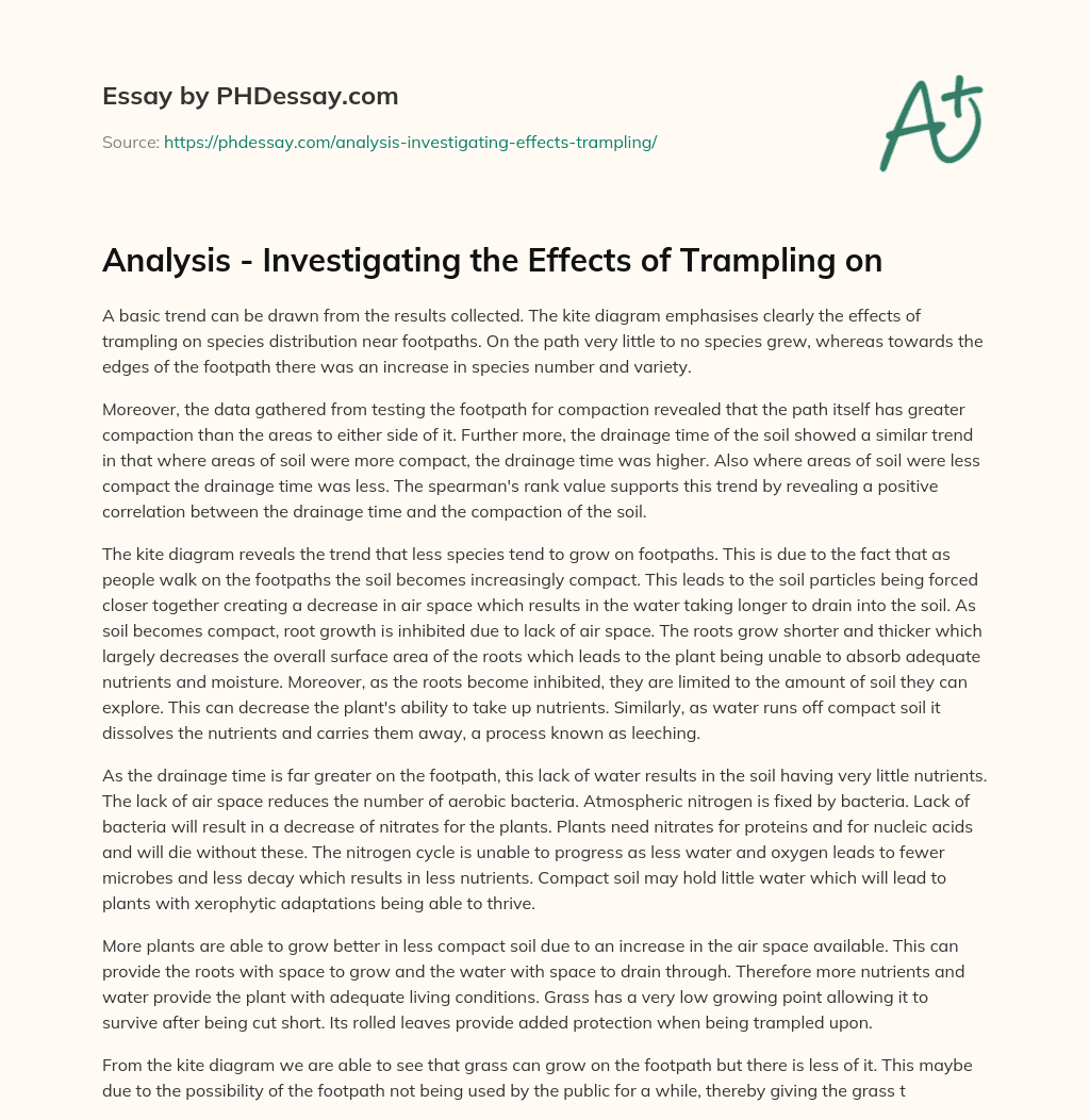 Analysis – Investigating the Effects of Trampling on essay
