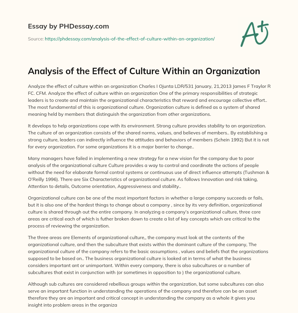 Analysis of the Effect of Culture Within an Organization essay
