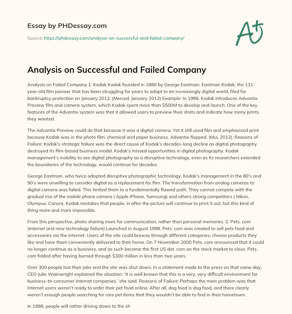 Analysis on Successful and Failed Company essay