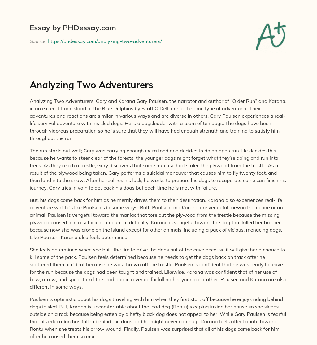 Analyzing Two Adventurers essay