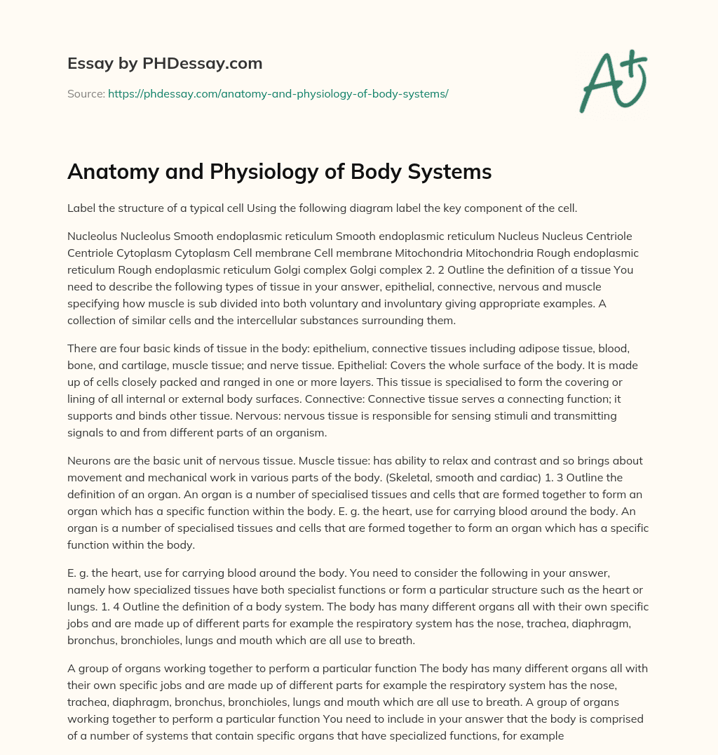 Anatomy and Physiology of Body Systems essay