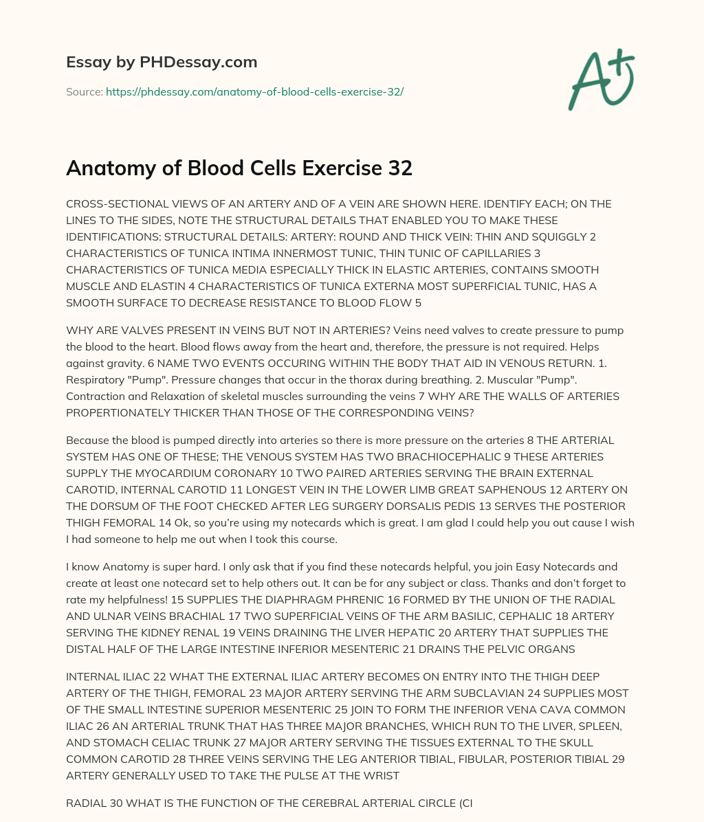 Anatomy of Blood Cells Exercise 32 essay
